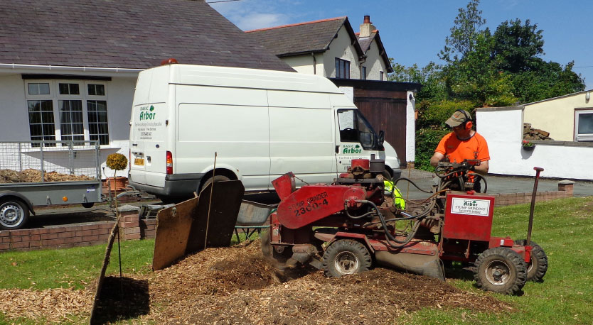 wrexham-and-north-wales-tree-stump-grinding-services Wrexham tree stump grinding